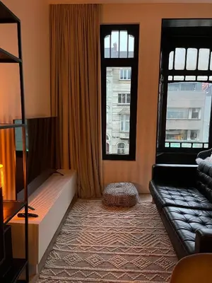 a living room with a couch and two windows at Casa Clementina - 3 Bedroom Apartment in a Art-Nouveau House in Ghent