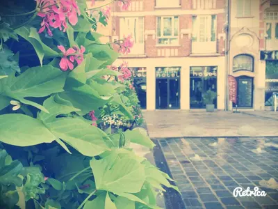 a bush with pink flowers in front of a building at Hotel Aviation in Brussels