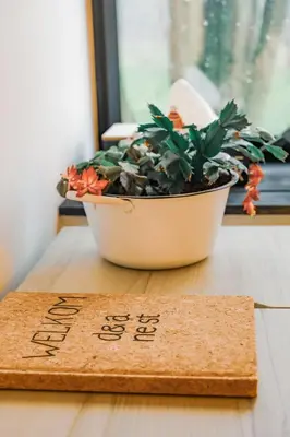 a plant in a pot sitting on top of a table at D&A nest in Retie