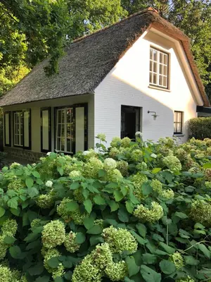 a house with a lot of green plants in front of it at Schilde Cottage in Schilde
