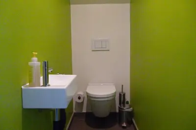 a green bathroom with a toilet and a sink at Su'ro Bed and Breakfast in Ghent