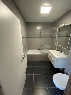 a bathroom with a sink and a tub and a toilet at Bouwelhoeve 't Schuur in Grobbendonk