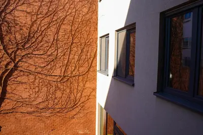 a brick building with a window and a tree at City Garden Ghent in Ghent