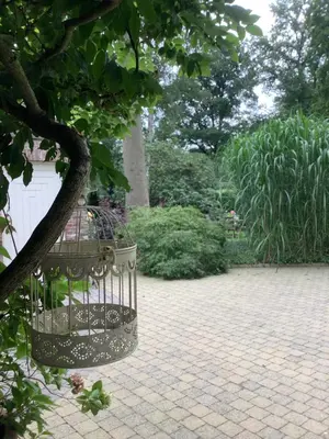 Gallery image of B&B 't Greefsch Geluck in Kalmthout