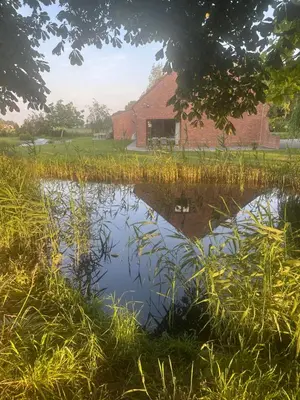 a pond in the grass with a building in the background at De Reynaarthoeve in Assenede