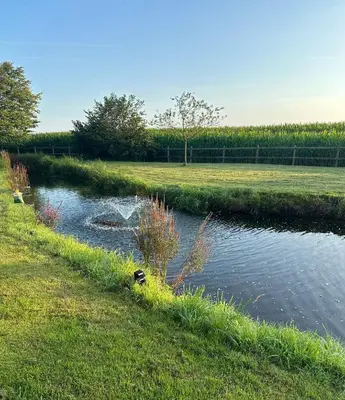 a small pond in the middle of a field at De Reynaarthoeve in Assenede