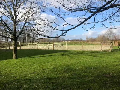 a tree in a field with a fence at De Reynaarthoeve in Assenede