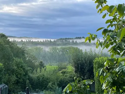 a view of a foggy valley with trees at Hallerbos B&B in Bluebell Forest in Halle