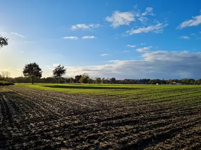 a field with a blue sky and green grass at Parkhoeve Glamping in Ham