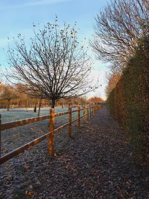 a fence with a tree next to a sidewalk at Domein Den Buiten Bed And Breakfast DnD in Sint-Niklaas