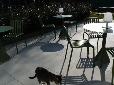 a cat walking on a patio with chairs and tables at Site78 in Puurs