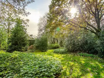 a garden with green bushes and the sun in the sky at Alverwege in Merksplas