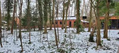 a house in the woods with snow on the ground at Van Horick in Baal