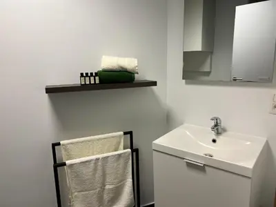 a white bathroom with a sink and a towel rack at Maison Gand in Ghent