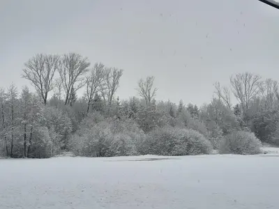 a field covered in snow with trees and bushes at Kromven On Wheels in Merksplas