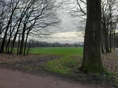 a tree in a park with a green field at Kromven On Wheels in Merksplas