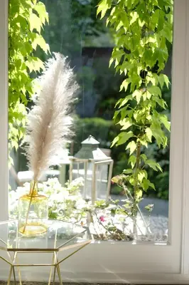 a feather sitting on a glass table in a window at La Calamande En Ville in Brussels