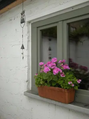 a window with a pot of flowers on a window sill at Au Bout du Jardin in Waterloo