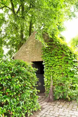 a small house with a door in a hedge at B&B Vennehoeve in Vremde