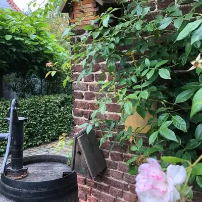 B&B Vennehoeve