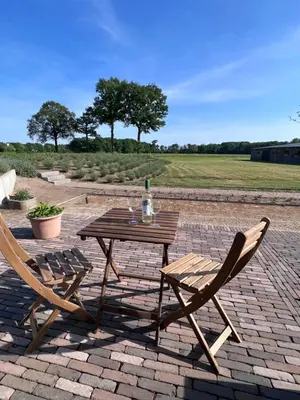 a wooden table and two chairs on a brick patio at Whaaw Herentals in Herentals