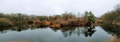a body of water with trees in the background at Weynhoven in Brecht