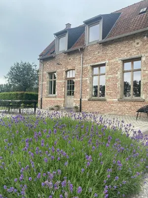 a field of purple flowers in front of a building at Huis Potaerde, vakantiewoning op boerderij - luxe landhuis nabij Brussel in Merchtem