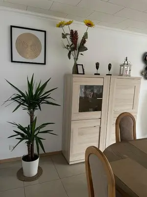 a dining room with a table and a plant at SUPERB APPARTEMENT WITH 3 BED ROOMS IN ANTWERPEN in Antwerp