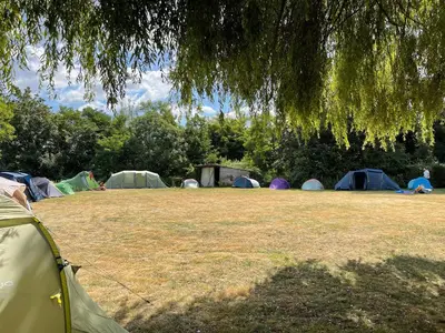 a group of tents in a field with trees at Tents @ Tomorrowland in Rumst