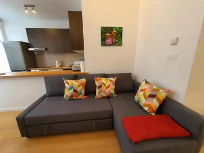 a living room with a gray couch with colorful pillows at Chez Esmara et Philippe Grand-Place in Brussels