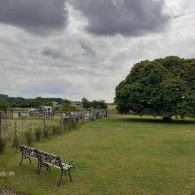a park bench sitting in a field with a tree at Berkies - autonome studio in Steenokkerzeel