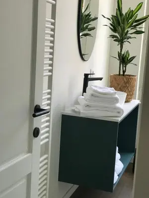 a bathroom with a green cabinet and a mirror at Maison Georges in Turnhout