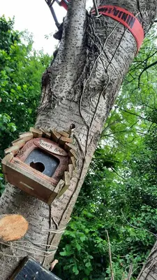 a bird house is attached to a tree at Glamping Zonnebloem - Back-to-Nature in Herzele