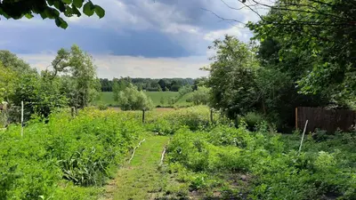 a field with bushes and trees and a fence at Glamping Zonnebloem - Back-to-Nature in Herzele