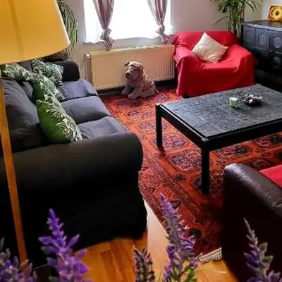 Bright studio close to Zaventem airport