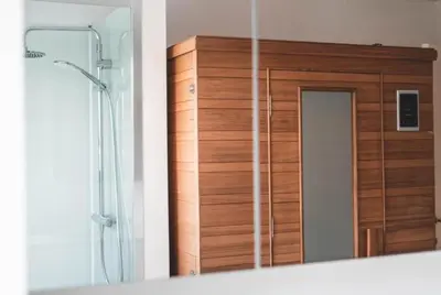 a bathroom mirror with a wooden door and a shower at Guesthouse Ter Linden in Bazel