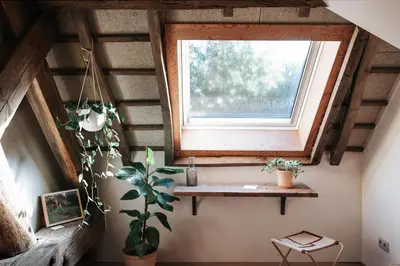 a room with a window and a table and plants at Pañ boetiek BnB in Zele