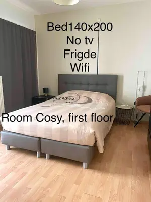 a bedroom with a bed with a room cozy first floor at Casa Christel in Mechelen