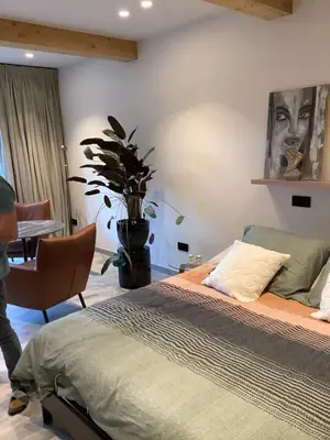 a bedroom with a bed and a potted plant at Via Caput in Lokeren