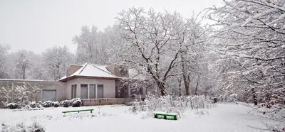a house covered in snow in front at Marcel de Gand Business & Travel in Ghent