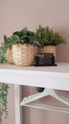 two baskets sitting on top of a shelf with plants at BnB Antwerpen - CHIQUE in Antwerp