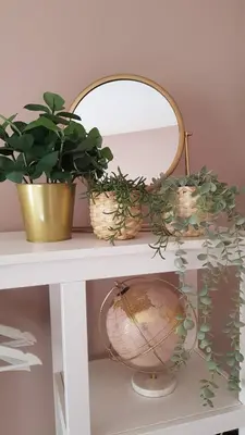 a shelf with two potted plants and a mirror at BnB Antwerpen - CHIQUE in Antwerp