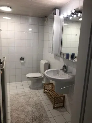 a bathroom with a sink and a toilet and a mirror at Belair Studio in Tervuren