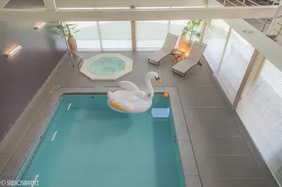 an overhead view of a swimming pool with a swan at Lavendelhof luxe wellnesshouse in Zottegem