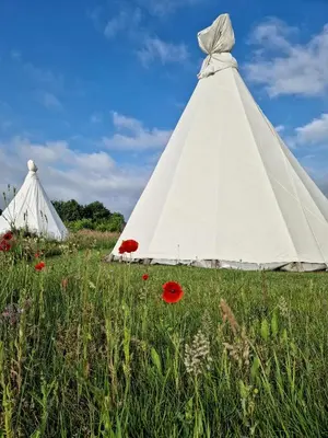 two white tents in a field of flowers at Landgoed Omorika in Ravels