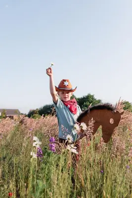 a young boy in a field with a toy horse at Landgoed Omorika in Ravels