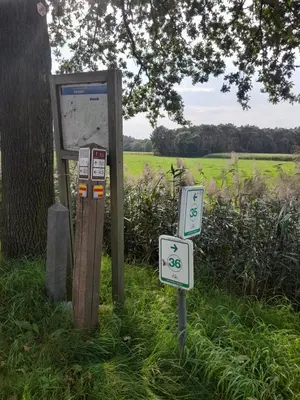 a parking meter and a sign in the grass at Black Box in Lille