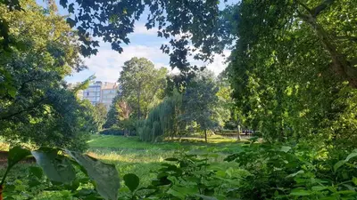 a view of a park with trees and a field at lovely two bedroom apartment with free parking in Antwerp