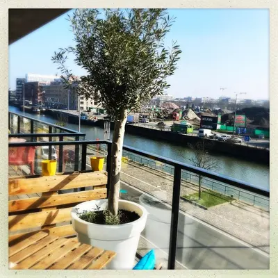 a tree sitting on a bench on a balcony at Cozy two bedroom Apartment near city centre Gent in Ghent