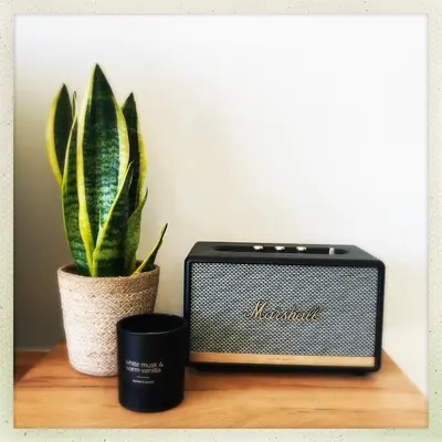 a speaker and a plant sitting on a table next to a toaster at Cozy two bedroom Apartment near city centre Gent in Ghent